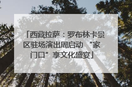 西藏拉萨：罗布林卡景区驻场演出周启动 “家门口”享文化盛宴