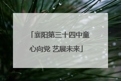 襄阳第三十四中童心向党 艺展未来