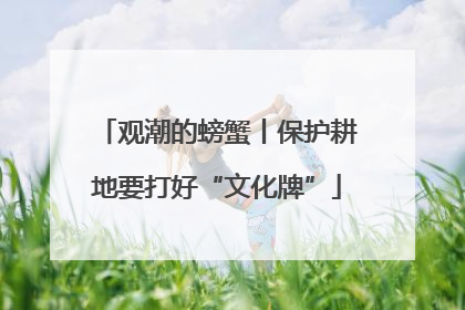 观潮的螃蟹丨保护耕地要打好“文化牌”