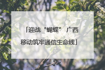 迎战“蝴蝶” 广西移动筑牢通信生命线