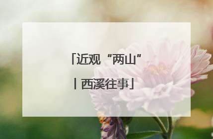近观“两山”丨西溪往事