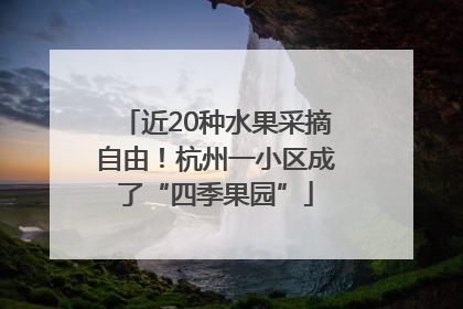 近20种水果采摘自由！杭州一小区成了“四季果园”