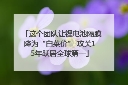 这个团队让锂电池隔膜降为“白菜价” 攻关15年跃居全球第一