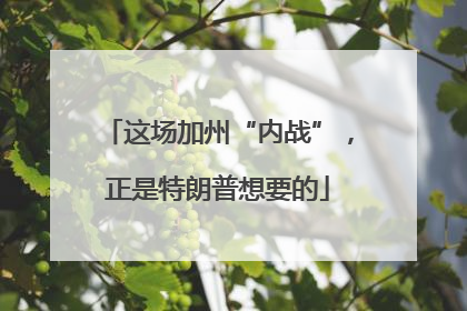 这场加州“内战”，正是特朗普想要的