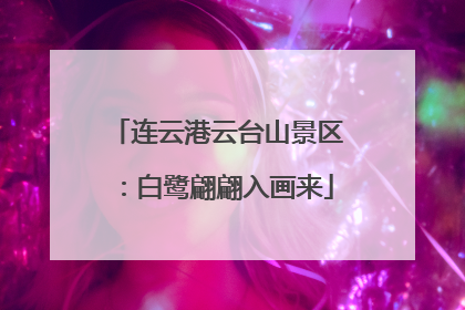 连云港云台山景区：白鹭翩翩入画来