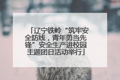 辽宁铁岭“筑牢安全防线，青年勇当先锋”安全生产进校园主题团日活动举行