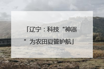 辽宁：科技“神器”为农田夏管护航