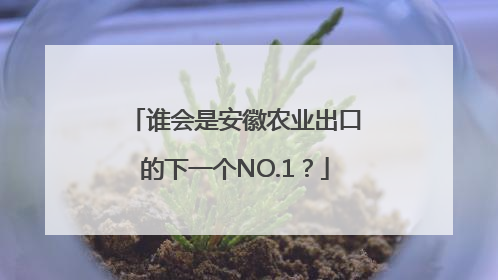 谁会是安徽农业出口的下一个NO.1？
