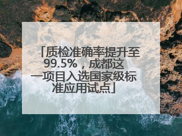 质检准确率提升至99.5%，成都这一项目入选国家级标准应用试点