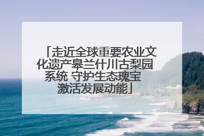 走近全球重要农业文化遗产皋兰什川古梨园系统 守护生态瑰宝 激活发展动能