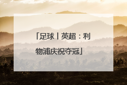 足球丨英超：利物浦庆祝夺冠