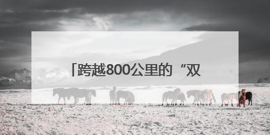 跨越800公里的“双向奔赴”！长沙-香港青年人才对接会在港举办