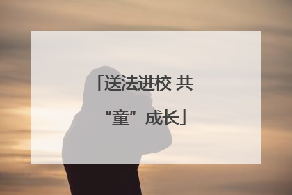 送法进校 共“童”成长