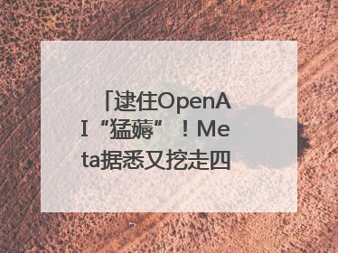 逮住OpenAI“猛薅”！Meta据悉又挖走四位知名研究人员