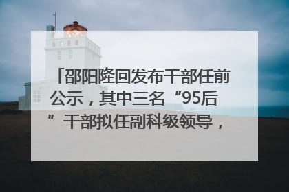 邵阳隆回发布干部任前公示，其中三名“95后”干部拟任副科级领导，均系硕士选调生