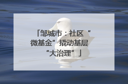邹城市：社区“微基金”撬动基层“大治理”