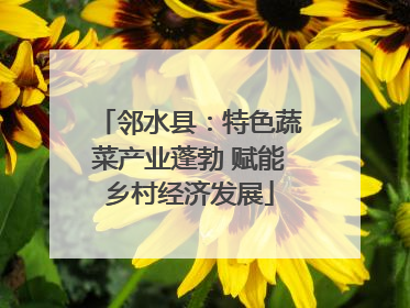 邻水县：特色蔬菜产业蓬勃 赋能乡村经济发展