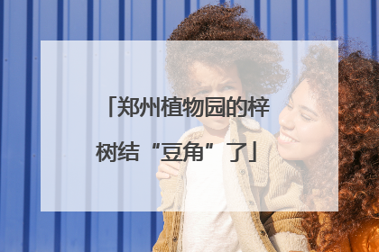 郑州植物园的梓树结“豆角”了