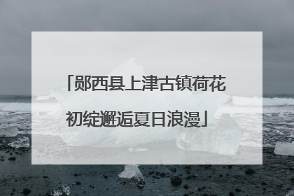 郧西县上津古镇荷花初绽邂逅夏日浪漫