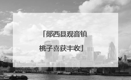 郧西县观音镇桃子喜获丰收