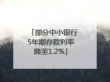 部分中小银行5年期存款利率降至1.2%