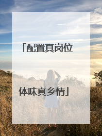 配置真岗位 体味真乡情