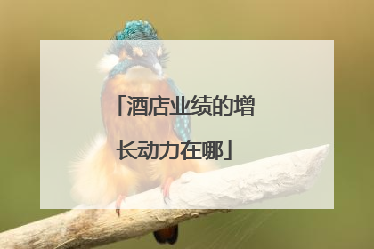 酒店业绩的增长动力在哪