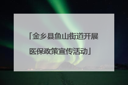 金乡县鱼山街道开展医保政策宣传活动