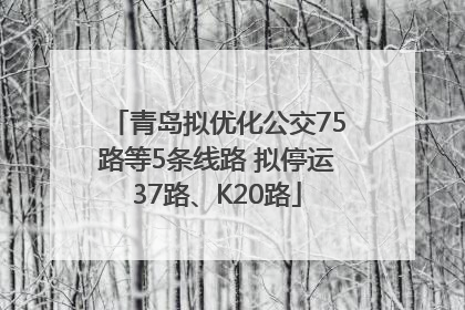 青岛拟优化公交75路等5条线路 拟停运37路、K20路