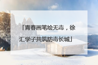 青春画笔绘无毒，徐汇学子共筑防毒长城