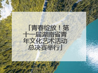 青春绽放！第十一届湖南省青年文化艺术活动总决赛举行