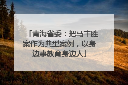 青海省委：把马丰胜案作为典型案例，以身边事教育身边人