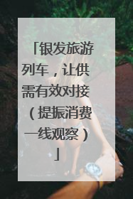 银发旅游列车，让供需有效对接（提振消费一线观察）