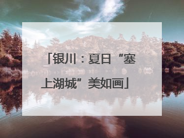 银川：夏日“塞上湖城”美如画