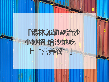锡林郭勒盟治沙小妙招 给沙地吃上“营养餐”