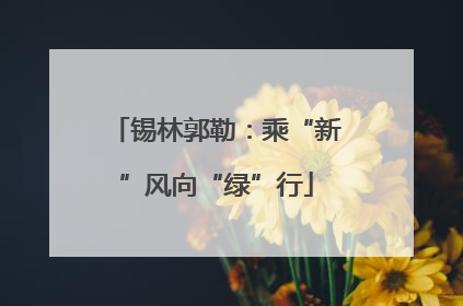锡林郭勒：乘“新”风向“绿”行