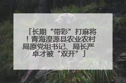 长期“带彩”打麻将！青海湟源县农业农村局原党组书记、局长严卓才被“双开”
