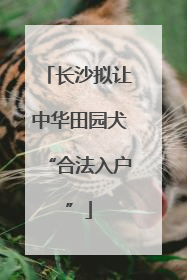 长沙拟让中华田园犬“合法入户”