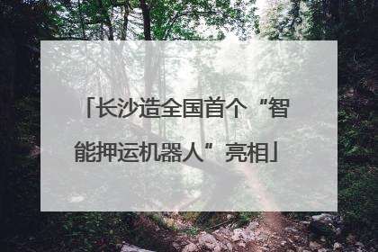 长沙造全国首个“智能押运机器人”亮相