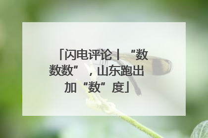 闪电评论丨“数数数”，山东跑出加“数”度