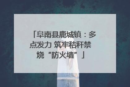 阜南县鹿城镇：多点发力 筑牢秸秆禁烧“防火墙”
