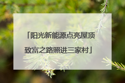 阳光新能源点亮屋顶 致富之路照进三家村