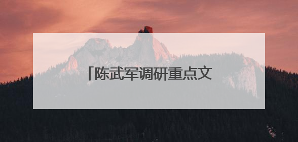 陈武军调研重点文旅项目推进情况
