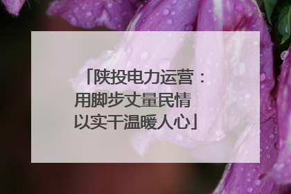 陕投电力运营：用脚步丈量民情 以实干温暖人心