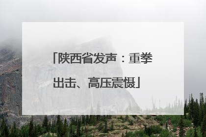 陕西省发声：重拳出击、高压震慑