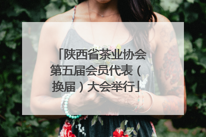 陕西省茶业协会第五届会员代表（换届）大会举行