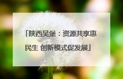 陕西吴堡：资源共享惠民生 创新模式促发展