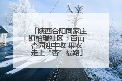 陕西合阳同家庄镇柏瑞社区：百亩杏园迎丰收 果农走上“杏”福路