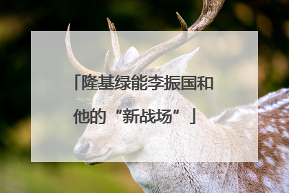 隆基绿能李振国和他的“新战场”