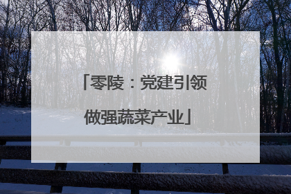 零陵：党建引领 做强蔬菜产业